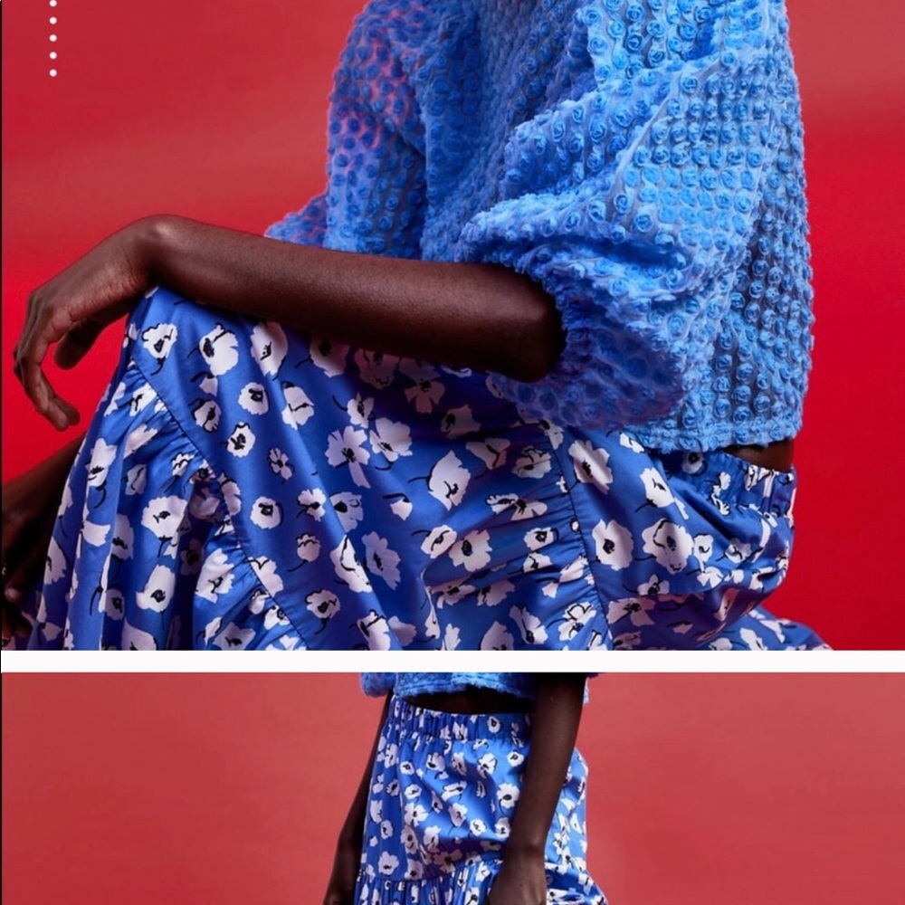 Zara skirt same as original post